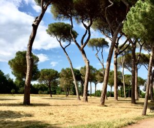 Villa Pamphili